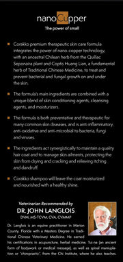 Corakko Therapeutic Copper Shampoo