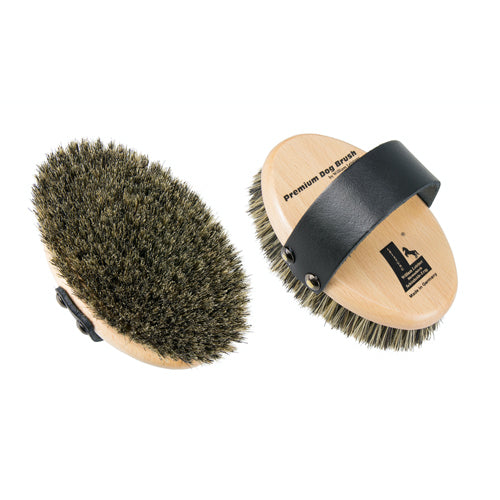 Leistner Natural Bristle Premium Dog Brush Small