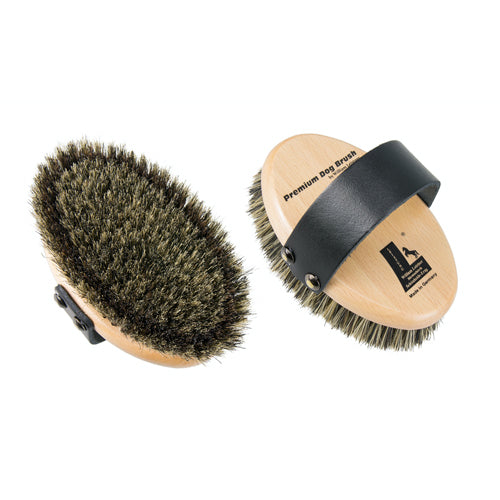 Leistner Natural Bristle Premium Dog Brush with extra firm border bristles Small