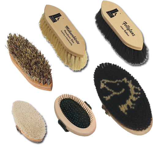 Leistner "Winner" Brush Set (6)